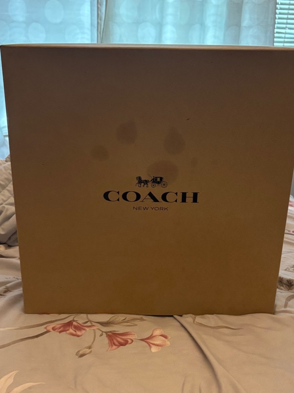 Coach Bag includes box,box has some marks on it, the bag is brand new,never used